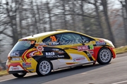 Bux / Borguet, Peugeot 208 R2, DG Sport