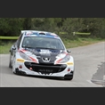 thumbnail Consani / Landais, Peugeot 207 S2000, Delta Rally