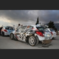 thumbnail Consani / Landais, Peugeot 207 S2000, Delta Rally