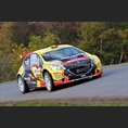 thumbnail De Mévius / Louka, Peugeot 208 T16 R5, DG Sport