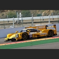 thumbnail Lammers / Van Eerd, Dallara P217 - Gibson, Racing Team Nederland