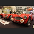 thumbnail Austin Healey