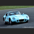 thumbnail Muytjens / Pineau / Audi, Shelby Cobra Daytona