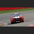 thumbnail Novakovic, Shelby Mustang GT350 - 1965