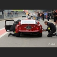 thumbnail Pascault / Furiani, Alfa Romeo Giulia TZ2 - 1965