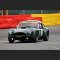 thumbnail Allison / Thompson, Shelby Cobra