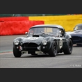thumbnail Kolb / Kolb, Shelby Cobra