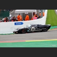 thumbnail Farley / van de Poel, Ford GT40