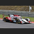 thumbnail Tung / Jarvis / Laurent, Oreca 07 - Gibson, Jackie Chan DC Racing