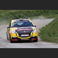 thumbnail de Mevius / Louka, Peugeot 208 R2, DG Sport