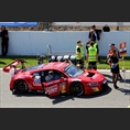 thumbnail Stippler / Kolb / Schramm / Pareras, Audi R8 LMS (2019), Phoenix Racing
