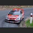 thumbnail Pereira / Petitnicolas, Peugeot 307 WRC