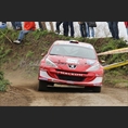 thumbnail Bouffier / Panseri, Peugeot 207 S2000, Delta Rally