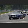 thumbnail Clifford / Bradfield / Bell, Ford Mustang