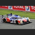 thumbnail Rojas / Canal / Giermaziak, Ligier JS P2 - Nissan, Greaves Motorsport